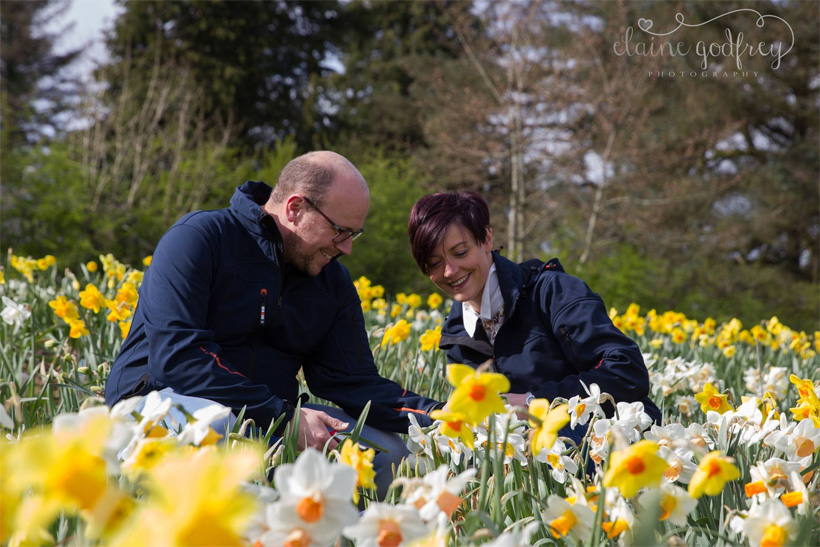 Grown-in-Ireland-Esker-Farm-Daffodils